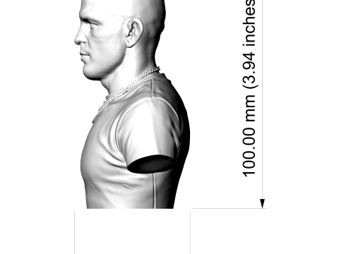 Dustin Poirier 3D Printable Bust 3D Print Model