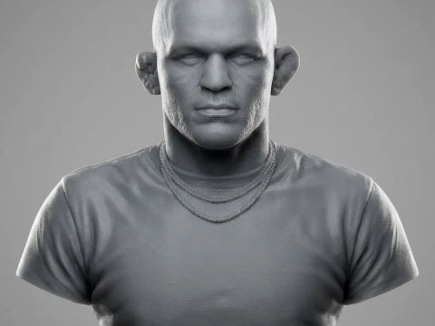 Dustin Poirier 3D Printable Bust 3D Print Model