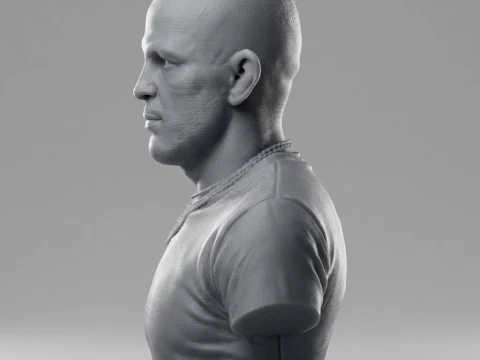 Dustin Poirier 3D Printable Bust 3D Print Model