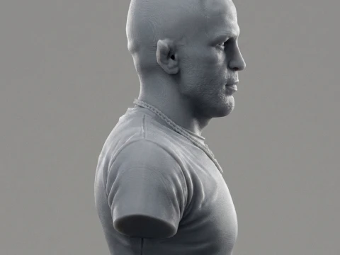 Dustin Poirier 3D Printable Bust 3D Print Model