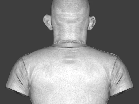 Dustin Poirier 3D Printable Bust 3D Print Model