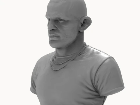 Dustin Poirier 3D Printable Bust 3D Print Model