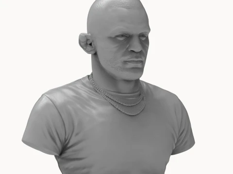 Dustin Poirier 3D Printable Bust 3D Print Model