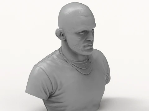 Dustin Poirier 3D Printable Bust 3D Print Model