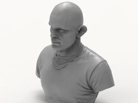 Dustin Poirier 3D Printable Bust 3D Print Model