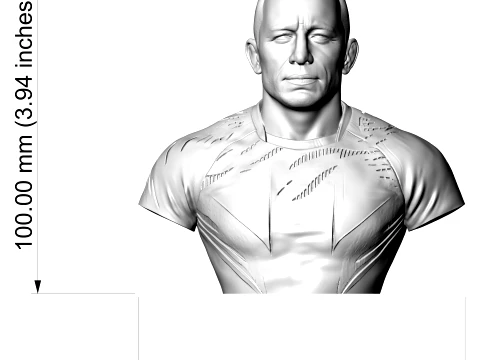 Georges St-Pierre 3D Printable Bust 3D Print Model