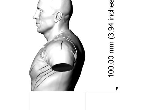 Georges St-Pierre 3D Printable Bust 3D Print Model