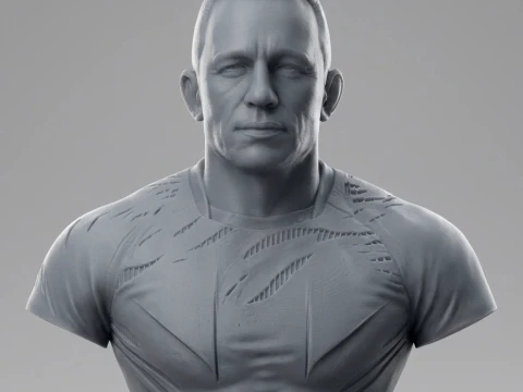 Georges St-Pierre 3D Printable Bust 3D Print Model