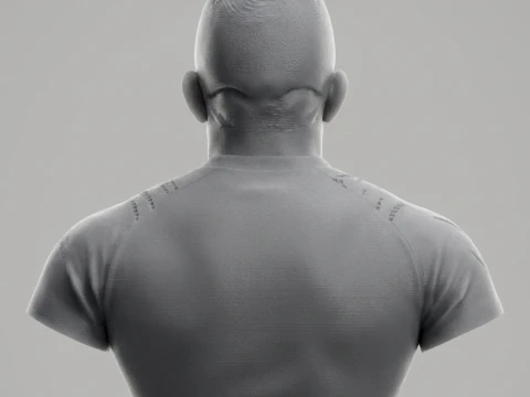 Georges St-Pierre 3D Printable Bust 3D Print Model
