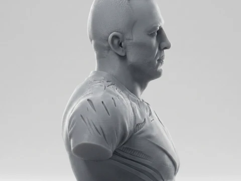 Georges St-Pierre 3D Printable Bust 3D Print Model