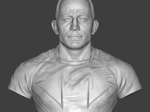 Georges St-Pierre 3D Printable Bust 3D Print Model