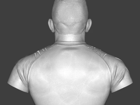 Georges St-Pierre 3D Printable Bust 3D Print Model