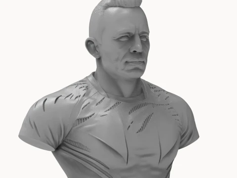 Georges St-Pierre 3D Printable Bust 3D Print Model
