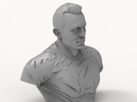 Georges St-Pierre 3D Printable Bust 3D Print Model