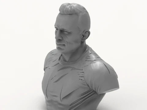 Georges St-Pierre 3D Printable Bust 3D Print Model
