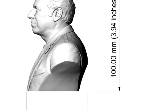 Hans Zimmer 3D Printable Bust 3D Print Model