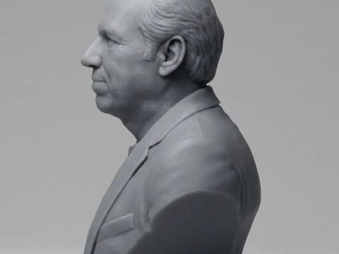 Hans Zimmer 3D Printable Bust 3D Print Model