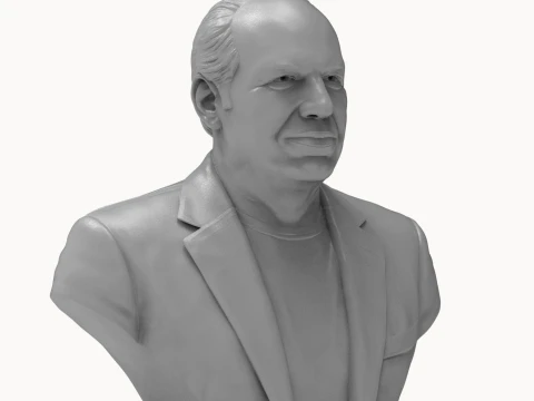 Hans Zimmer 3D Printable Bust 3D Print Model