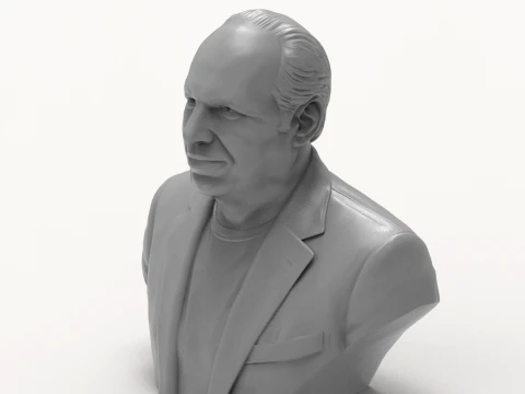 Hans Zimmer 3D Printable Bust 3D Print Model