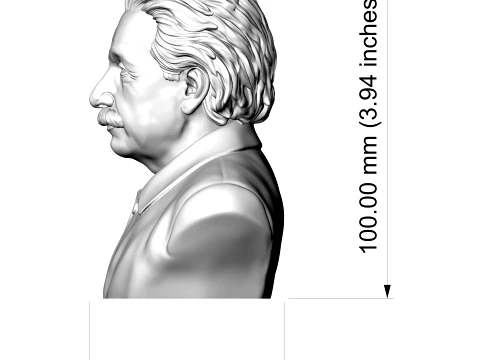 Albert Einstein 3D Printable Bust 3D Print Model