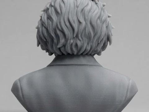Albert Einstein 3D Printable Bust 3D Print Model
