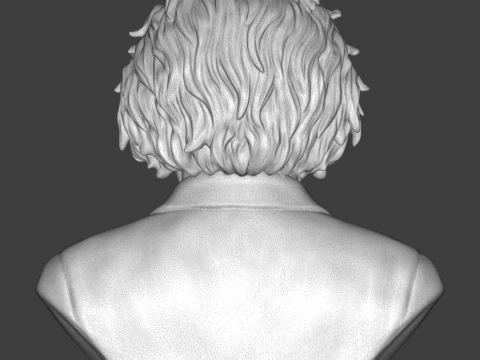 Albert Einstein 3D Printable Bust 3D Print Model