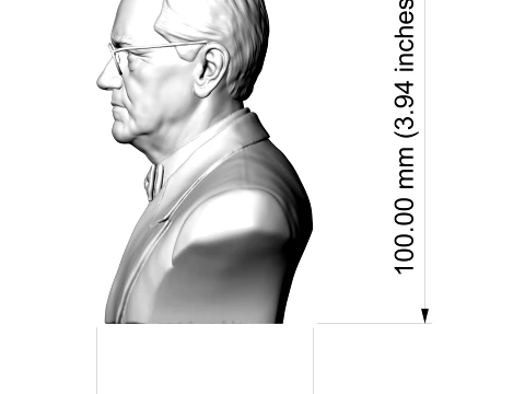 Alexander Fleming 3D Printable Bust 3D Print Model