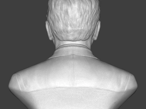 Alexander Fleming 3D Printable Bust 3D Print Model