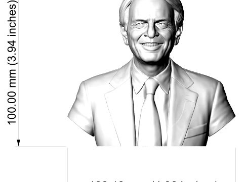 Carl Sagan 3D Printable Bust 3D Print Model