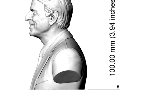 Carl Sagan 3D Printable Bust 3D Print Model