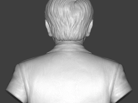 Carl Sagan 3D Printable Bust 3D Print Model