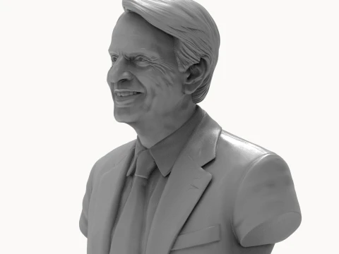 Carl Sagan 3D Printable Bust 3D Print Model