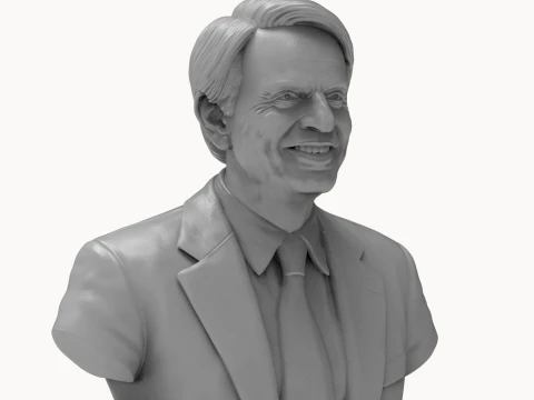 Carl Sagan 3D Printable Bust 3D Print Model