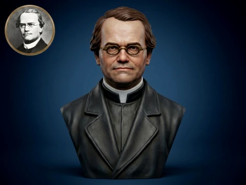 Gregor Mendel 3D Printable Bust 3D Print Model
