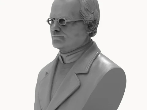 Gregor Mendel 3D Printable Bust 3D Print Model