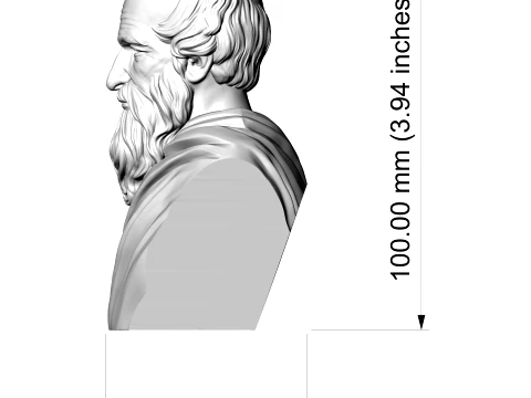 Archimedes Historical 3D Printable Bust 3D Print Model
