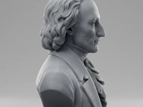 Niccol Paganini 3D Printable Bust 3D Print Model