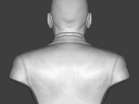 Ray Charles 3D Printable Bust 3D Print Model