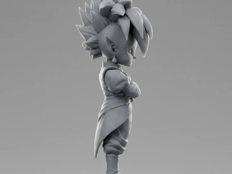 Supreme Kai Dragon Ball 3D Print 3D Print Model