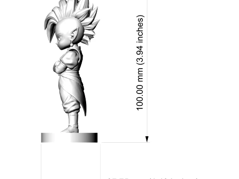 Supreme Kai Dragon Ball 3D Print 3D Print Model