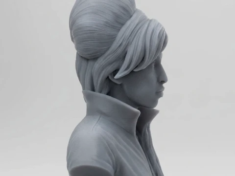 Amy Winehouse 3D Printable Bust 3D Print Model