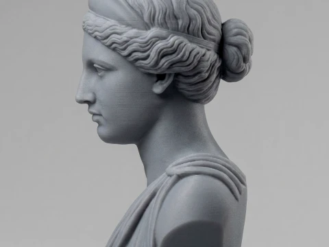 Aphrodite Goddess Bust 3D Print Model 3D Print Model