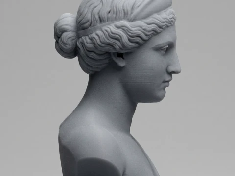 Aphrodite Goddess Bust 3D Print Model 3D Print Model
