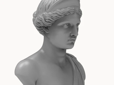 Aphrodite Goddess Bust 3D Print Model 3D Print Model