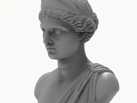 Aphrodite Goddess Bust 3D Print Model 3D Print Model