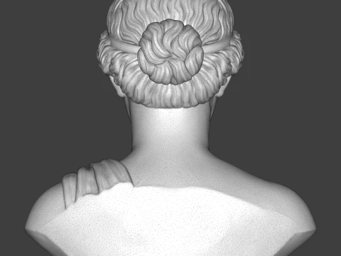 Aphrodite Goddess Bust 3D Print Model 3D Print Model