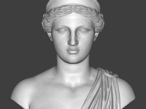 Aphrodite Goddess Bust 3D Print Model 3D Print Model