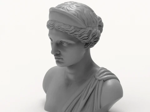 Aphrodite Goddess Bust 3D Print Model 3D Print Model