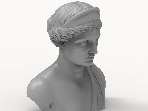 Aphrodite Goddess Bust 3D Print Model 3D Print Model