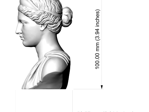 Aphrodite Goddess Bust 3D Print Model 3D Print Model